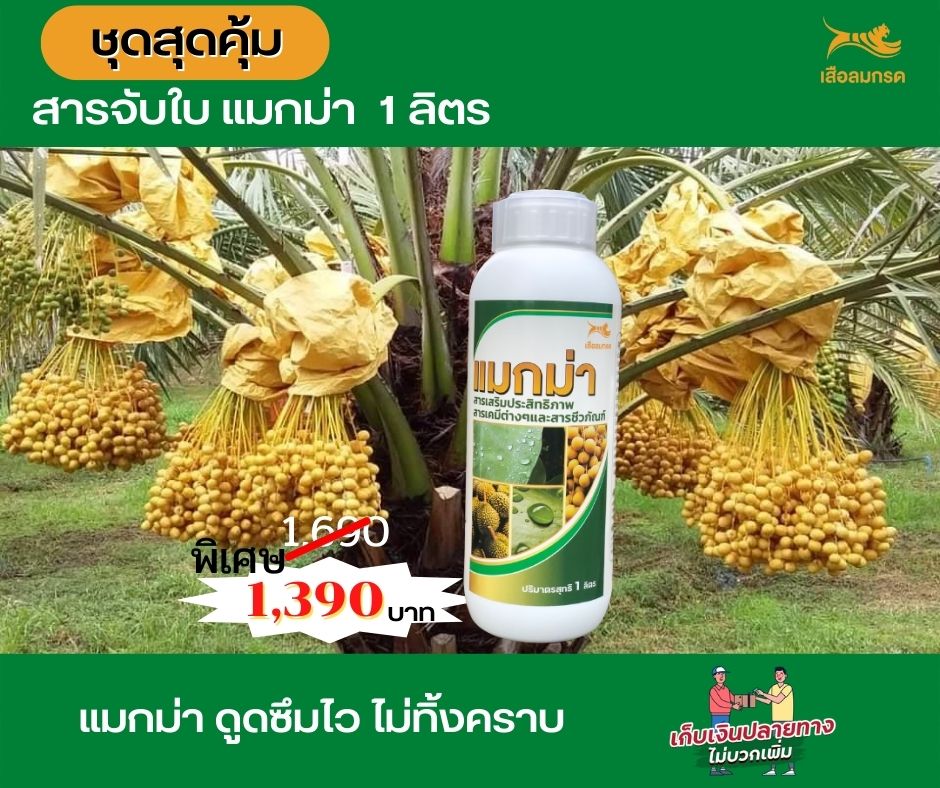 สารจับใบแมกม่า 1 ลิตร 1000 ซีซี 1 ขวด