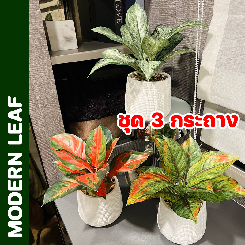 ต้นไม้ปลอม ชุด 3 กระถาง ซุปเปอร์เฮงปลอม อุดมทรัพย์ปลอม เงินทองเต็มบ้านปลอม