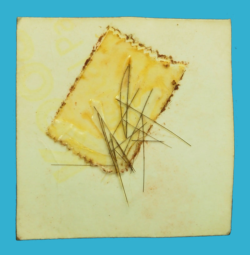 *36614 รูปถ่ายสี ไม่ทราบอาจารย์ ด้านหลังทากาวติดเส้นเกศา 4