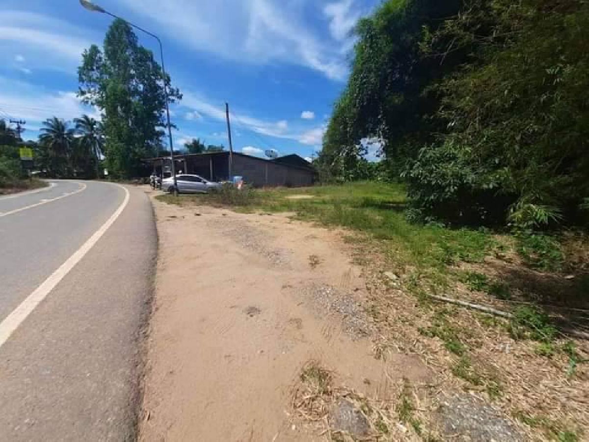 ขายที่ดินสนามชัยเขต 183 ตรว. ใกล้วัดบางมะเฟือง | เจ้าของขายเอง | ที่ดินฉะเชิงเทรา ทำเลดี ราคาถูก