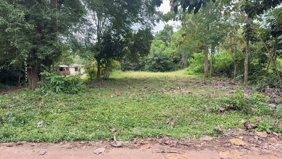 ขายที่ดิน สนามชัยเขต 150 ตรว | เจ้าของขายเอง ถมแล้ว ติดถนน