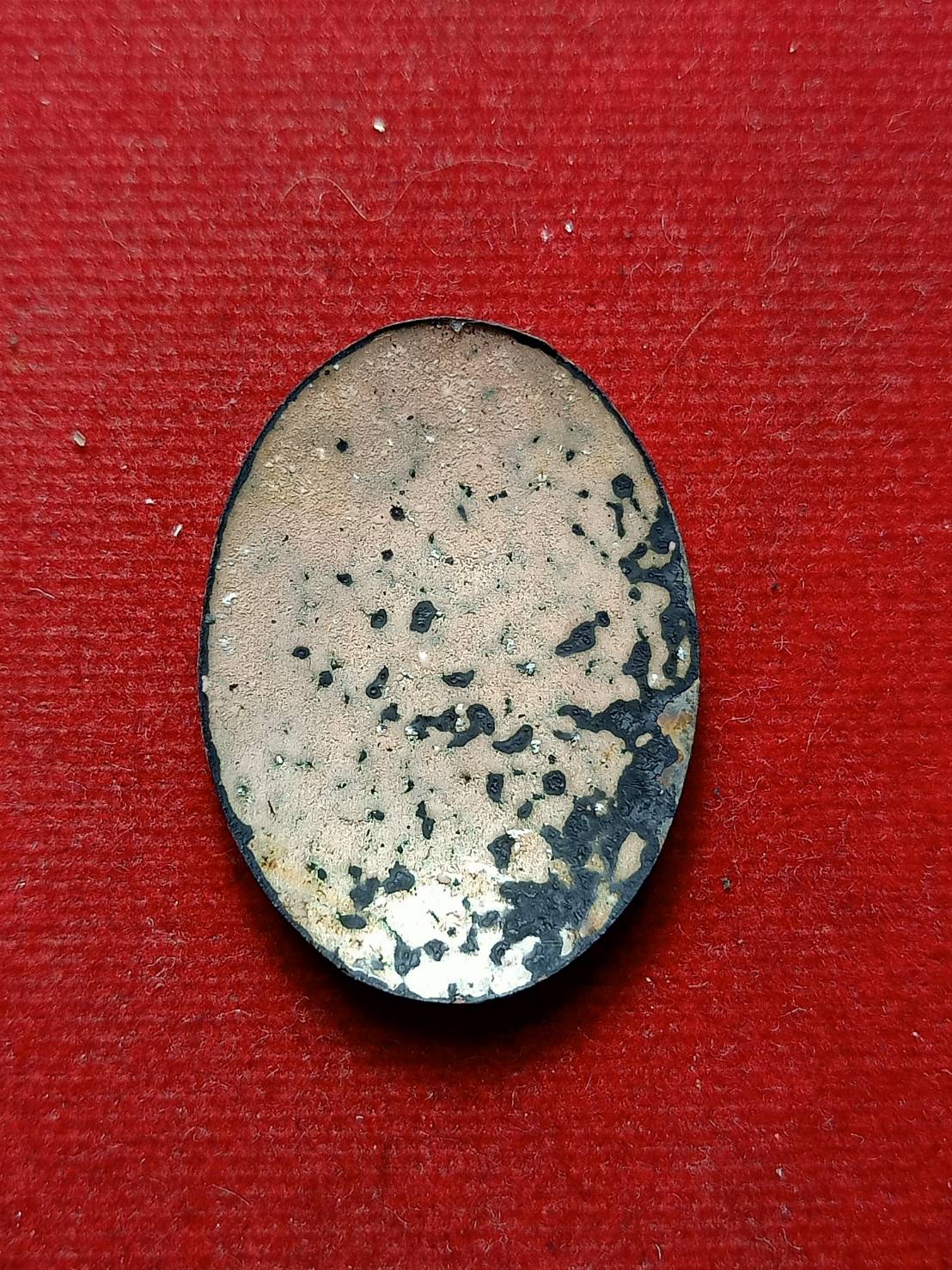 ล็อกเก็ตหลวงปู่โง่น โสรโย วัดพระพุทธบาทเขารวก จ.พิจิตร (SKU-08148)