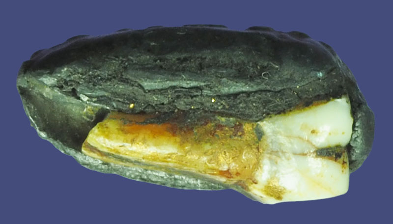 *39368 พระพุทธพิมพ์ปางมารวิชัย หลวงพ่อดำ วัดกุฏี ปราจีนบุรี ฝั่งเชี้ยวหมาป่า เนื้อชินตะกั่ว 13