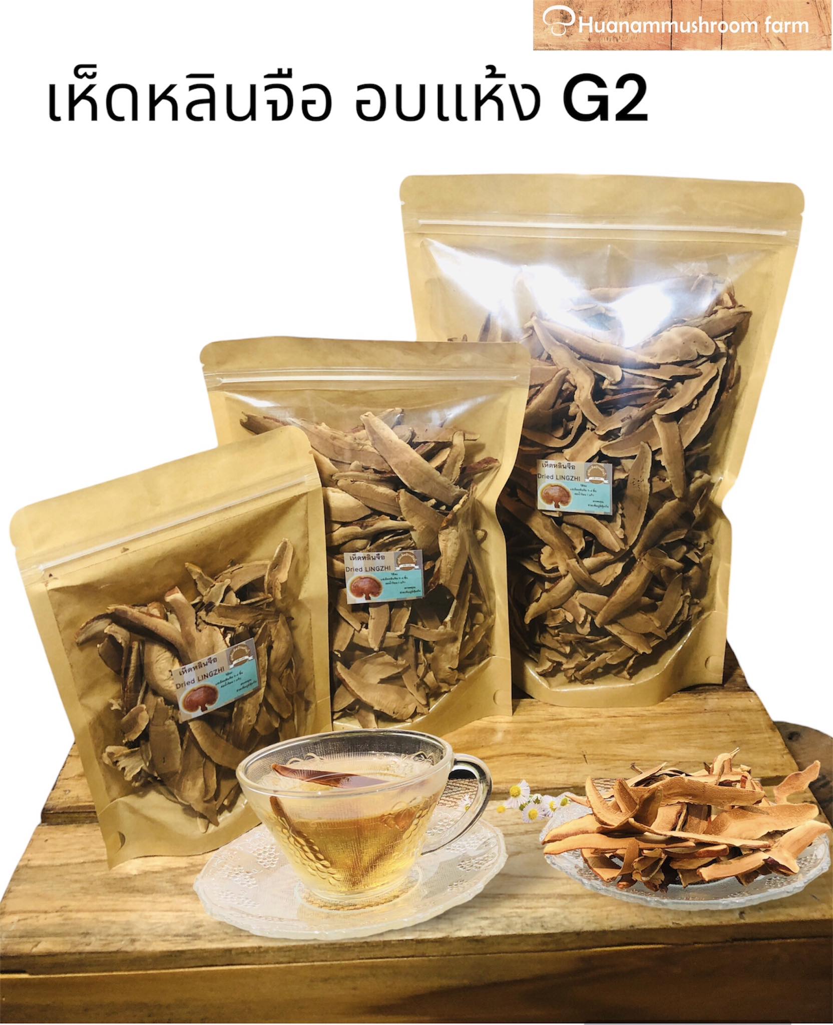 เห็ดหลินจือสายพันธุ์ของกรมวิชาการเกษตร G2 ฟาร์มเห็ดบ้านหัวน้ำ