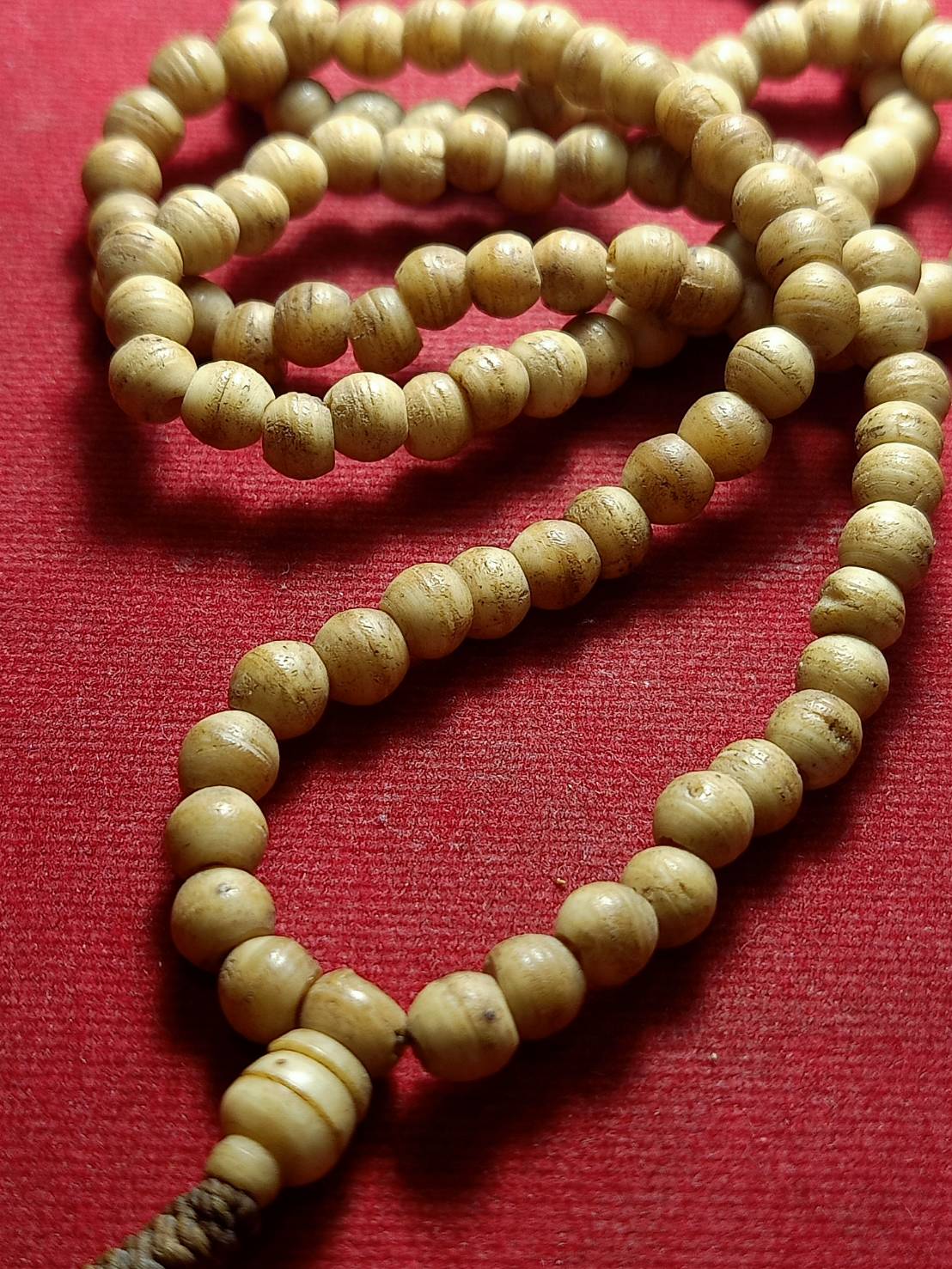 ประคำกรามช้าง หลวงพ่ออุตตมะ วัดวิเวการาม จ.กาญจนบุรี (SKU-11826)