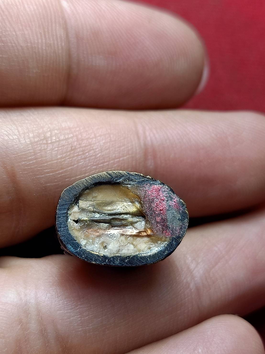 เสือหลวงพ่อเกิด วัดโพธิ์แทน จ.นครนายก (SKU-12891)