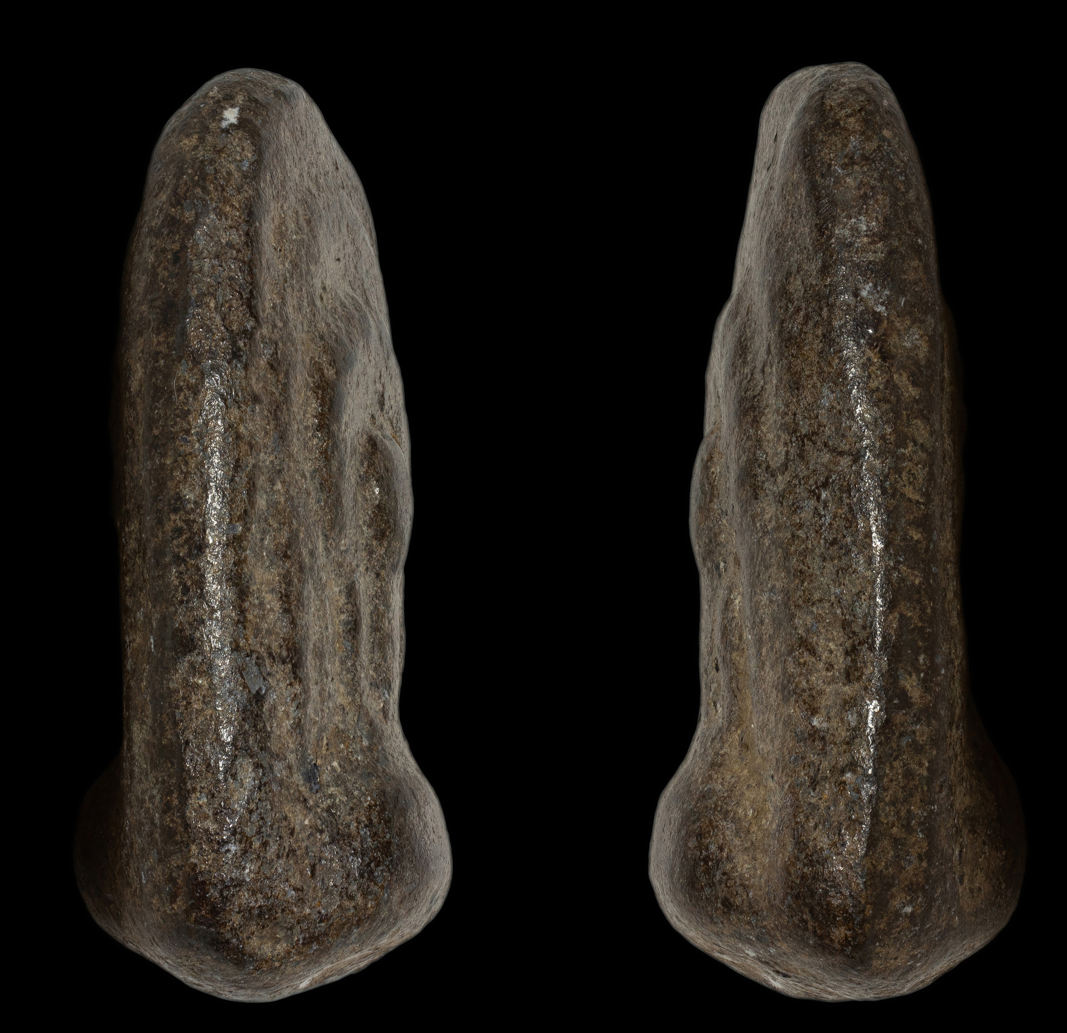 พระพิมพ์เศียรโล้น สองหน้าเนื้อชิน หลวงพ่อเนียม วัดน้อย สุพรรณบุรี