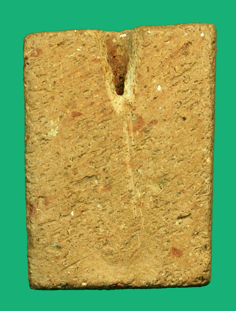 *36083 พระหลวงพ่อผาด วัดดงตาล ลพบุรี ทรงเสือ พ.ศ. 2470 ผงไม่มี (หลวงพ่อปาน วัดบางนมโค ร่วมปลุกเสก) 13