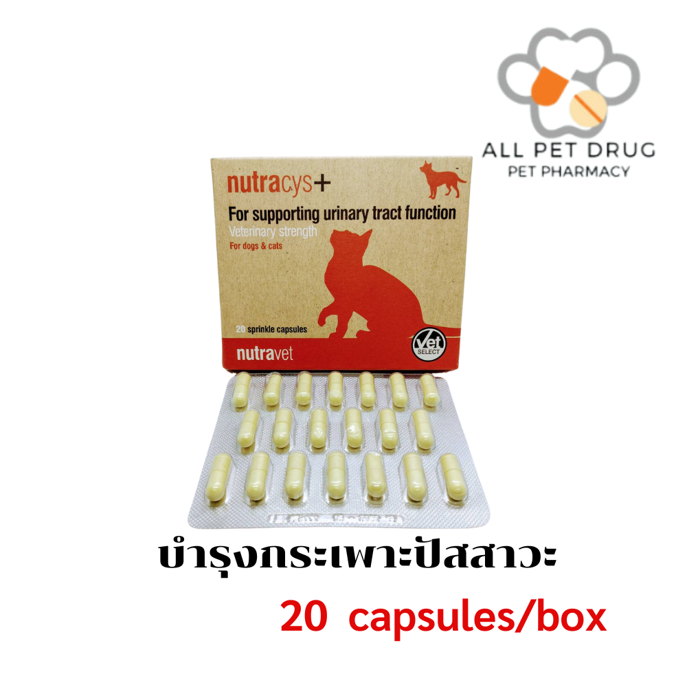 Nutracys+ 20 capsules/box อาหารเสริมบำรุงกระเพาะปัสสาวะ สำหรับสุนัขและแมว