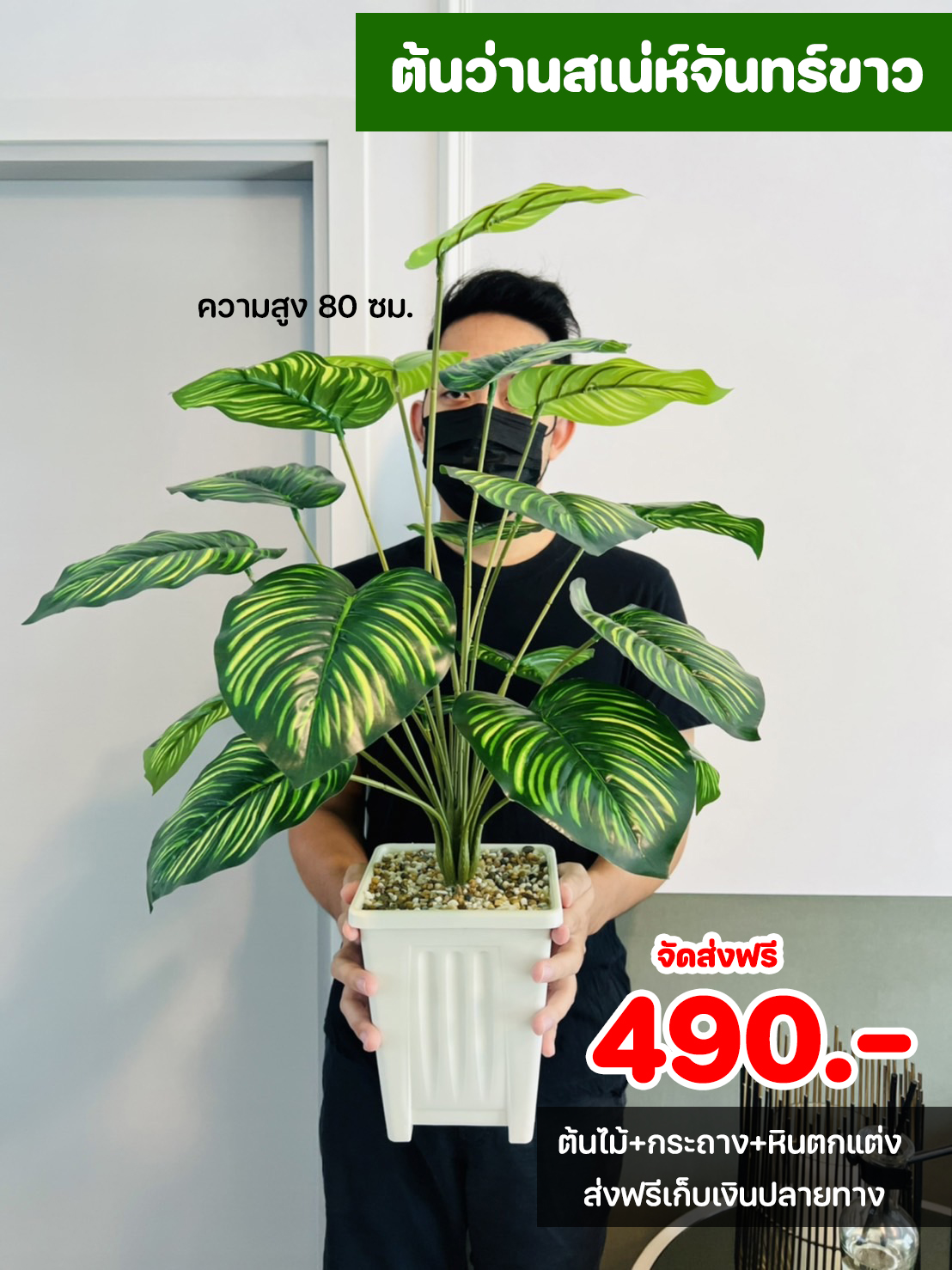 ต้นไม้ปลอม ขนาดความสูง 80 ซม. กระถางสี่เหลี่ยม พร้อมหินตกแต่ง