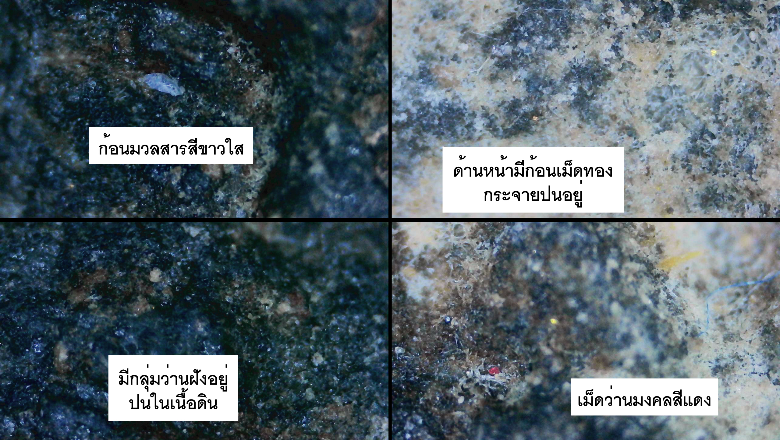 หลวงปู่ทวดเนื้อว่านหลังเจดีย์ รุ่นแจกกรรมการ ฝังตะกรุด 9 ดอก อาจารย์นองวัดทรายขาว ปลุกเสกพิธีใหญ่ ปี 2535