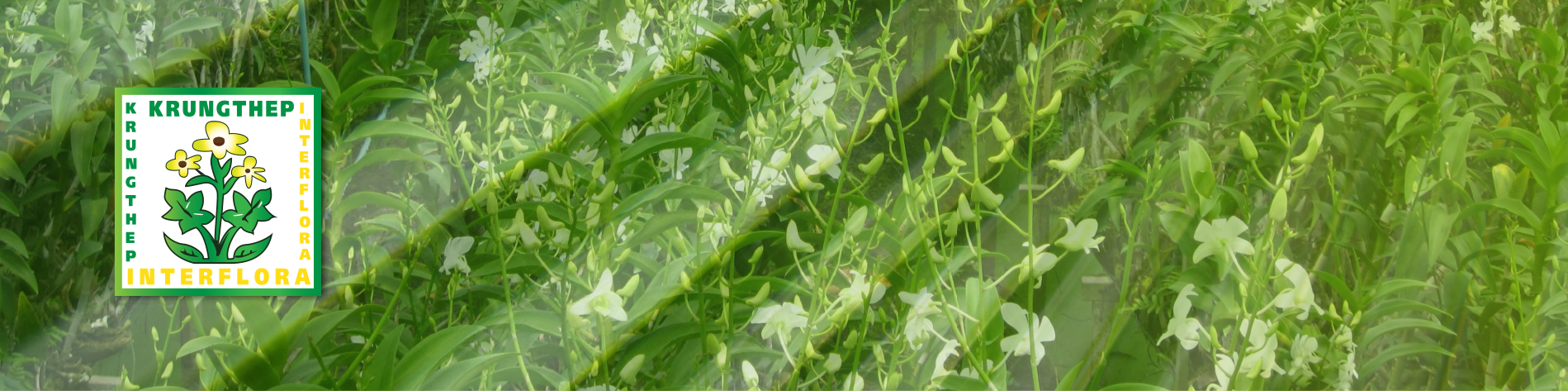 Krungthep Interflora Co.,Ltd.