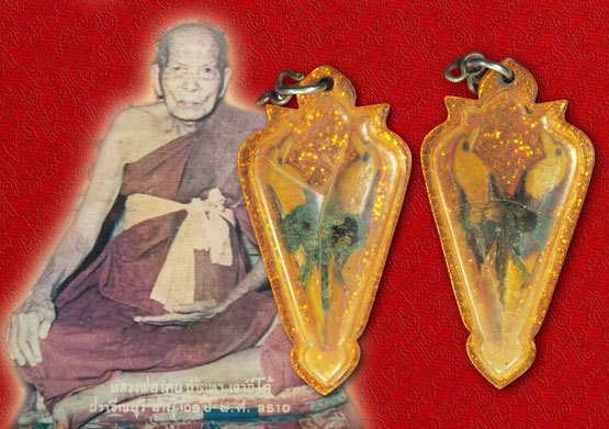 *39001 สาริกาคู่(จัมโบไม่ค่อยพบเจอ) มีสีผึ้งติดบริเวณตัวนก หลวงพ่อเคน วัดถ้ำเขาอีโต้ ปราจีนบุรี เลี่ยมพลาสติกเก่าวินเทจ ถึงยุค 12