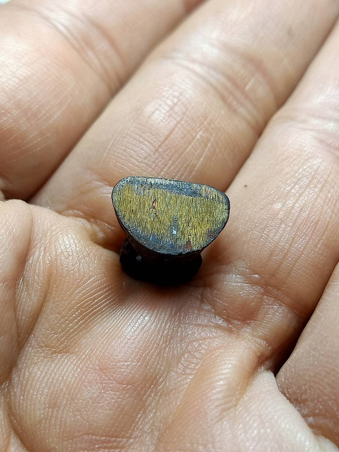 พระกริ่งแสงจันทร์ทันใจ วัดพระศรีมหาธาตุบางเขน กทม. หลวงพ่อท่อนปลุกเสก (SKU-07103)