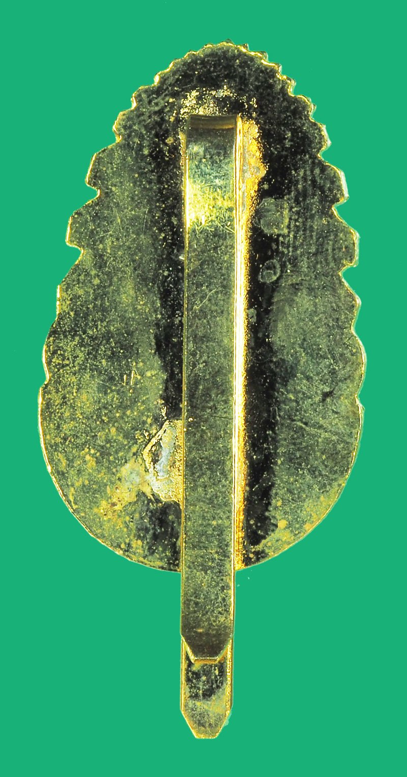 *39158 เเหนบหลวงพ่อฤาษีลิงดำ วัดท่าซุง อุทัยธานี กระหลั่ยทอง 10