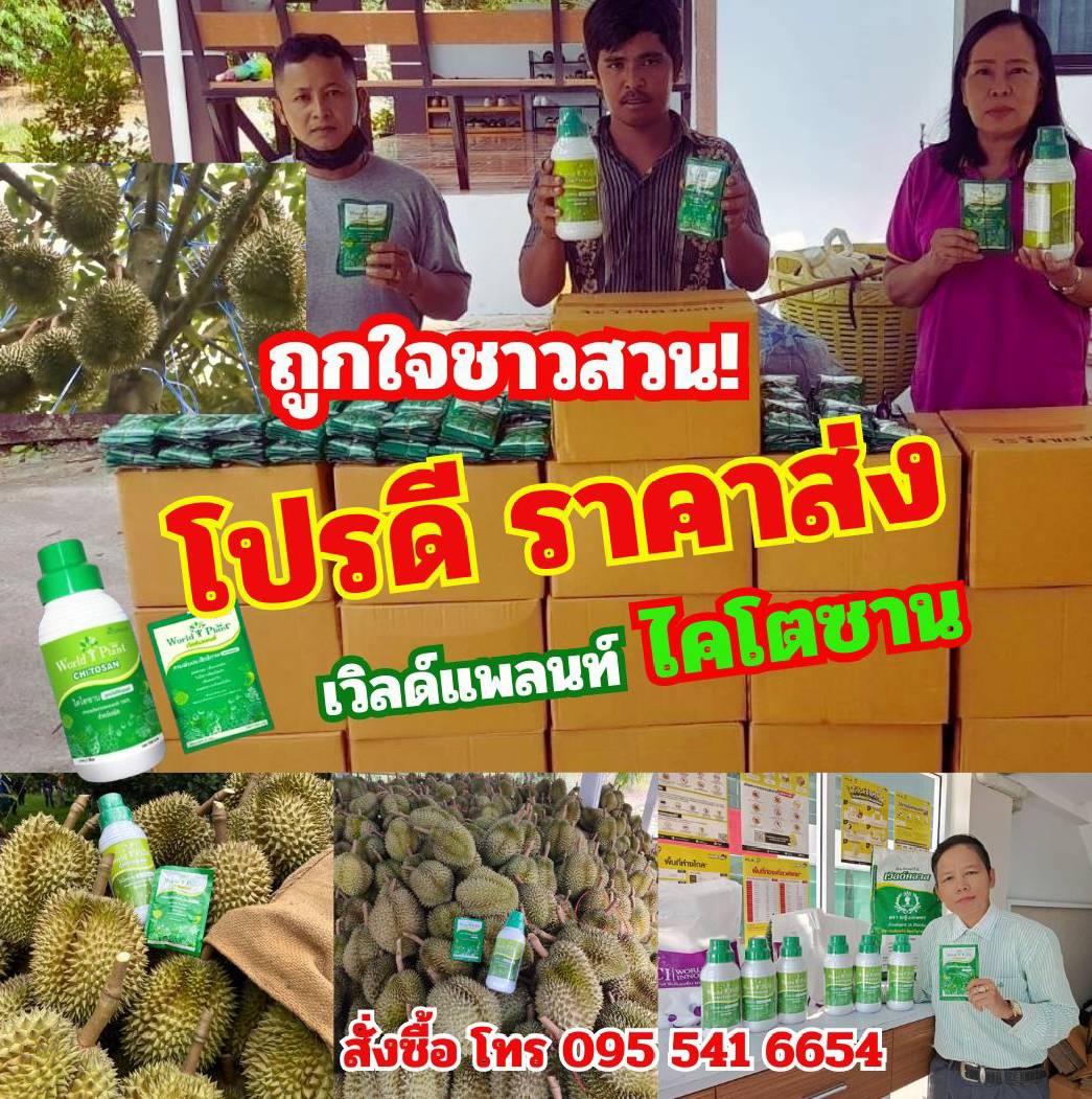 ราคาสมาชิกยกลังเวิลด์แพลนท์