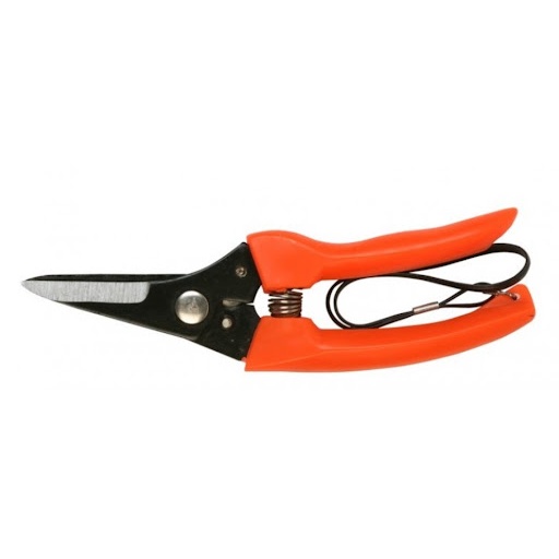 กรรไกรตัดกิ่งไม้ ปากตรง STAR #701 (ราคารวมแวท) กรรไกรตัดหญ้า กรรไกรตัดกิ่งไม้รุ่น(ขายยกกล่อง 6 อัน) {0700210801}