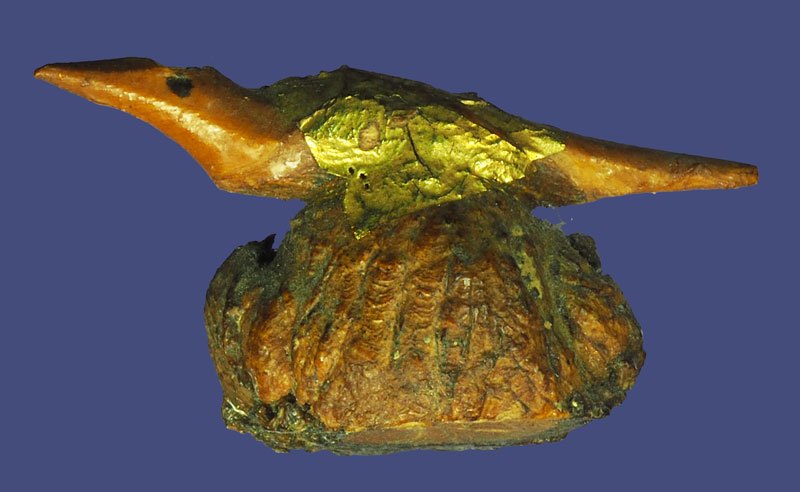 *40475 ไม้กาฝากรัก เก่าพอมีอายุ ไม่ทราบที่และปีสร้าง 12