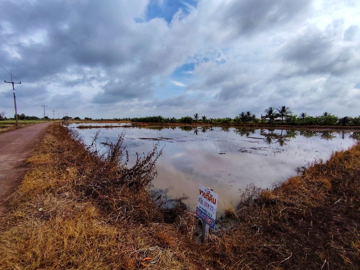 ขายที่ดิน ราชสาส์น 2 ไร่ | ติดถนนคอนกรีต หน้ากว้าง 46 ม. | เจ้าของขายเอง