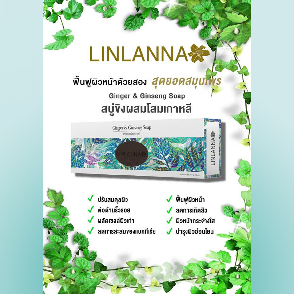 LINLANNA สบู่ขิงโสมเกาหลี บำรุงผิวกายพร้อมย้อนวัยให้ผิวพรรณ