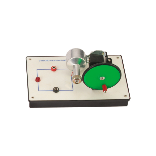 Dynamo generation model