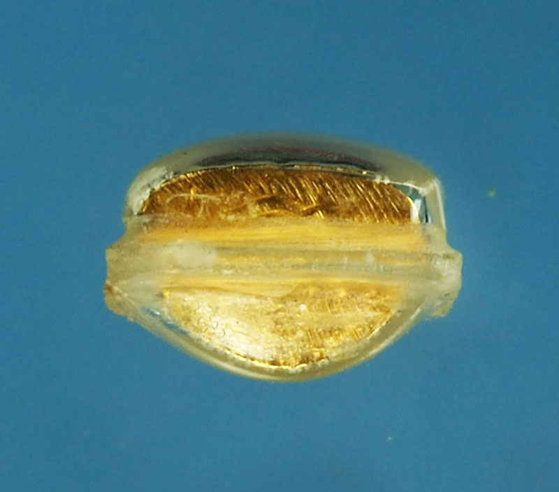 *28866 พระชัยวัฒน์ ไม่ทราบที่และปีสร้าง เลี่ยมพลาสติกเก่า 7