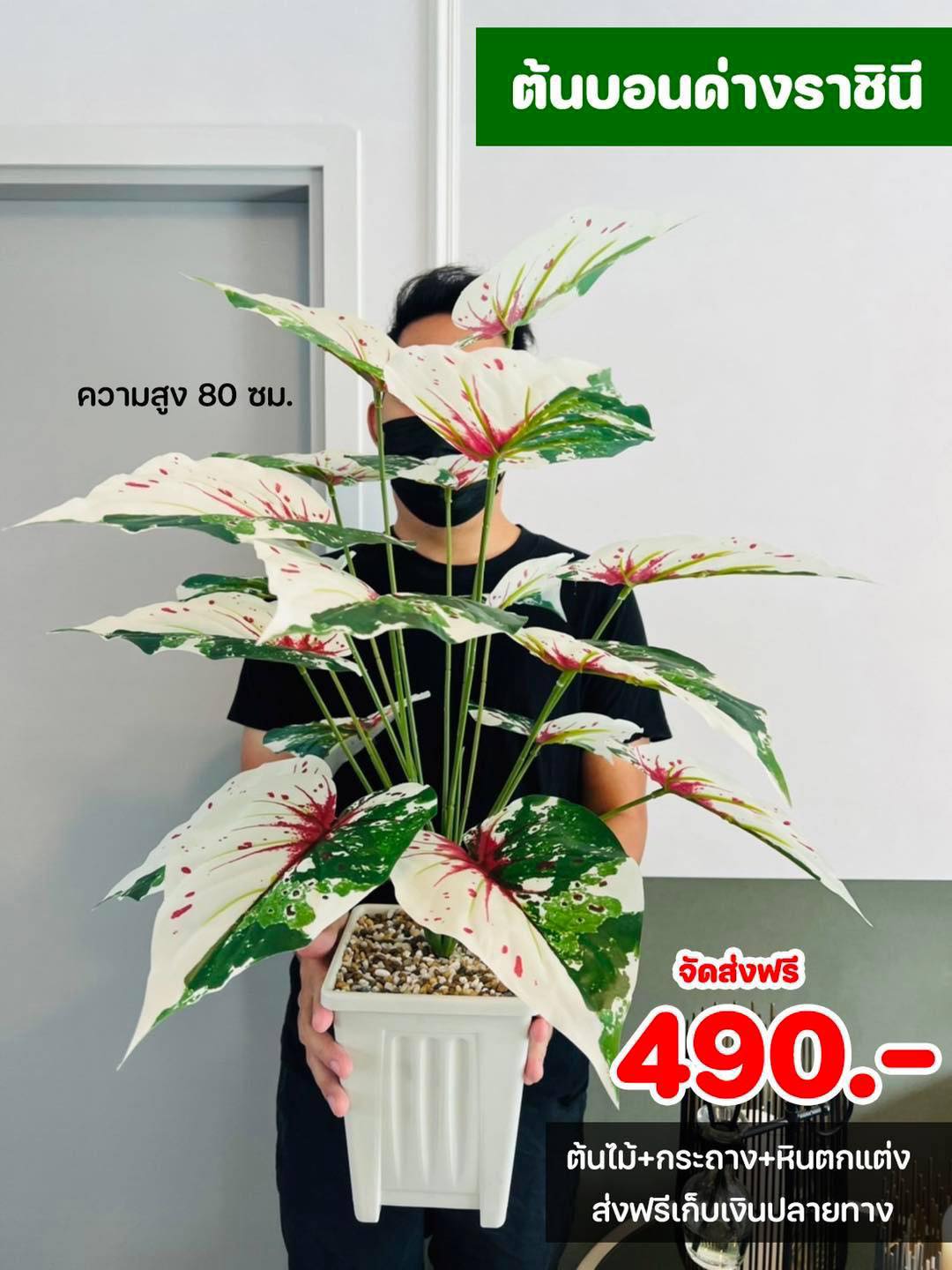 ต้นไม้ปลอม ขนาดความสูง 80 ซม. กระถางสี่เหลี่ยม พร้อมหินตกแต่ง