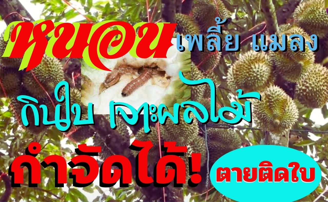 สารเสริมประสิทธิภาพ แมกม่า maxma 1ลิตร 2ขวด