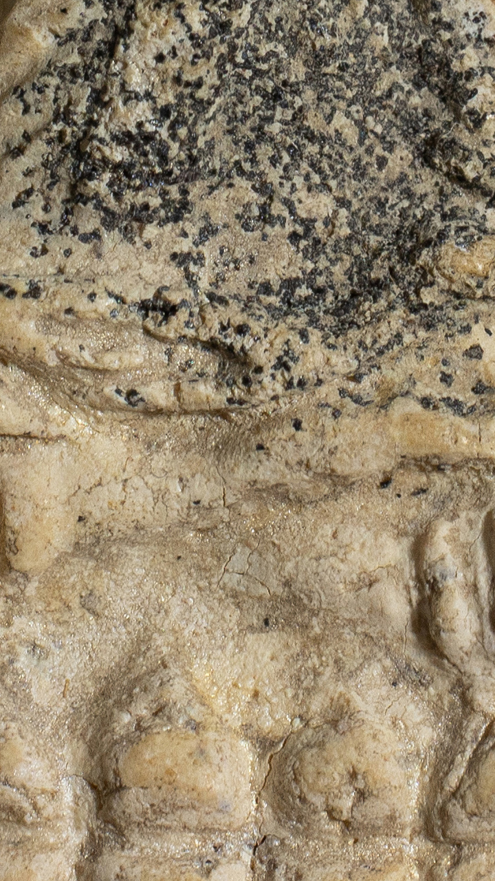 พระหลวงปู่ทวดวัดประสาทบุญญาวาส พิมพ์ใหญ่ ปลายแหลม เนื้อขาว ปี 2506