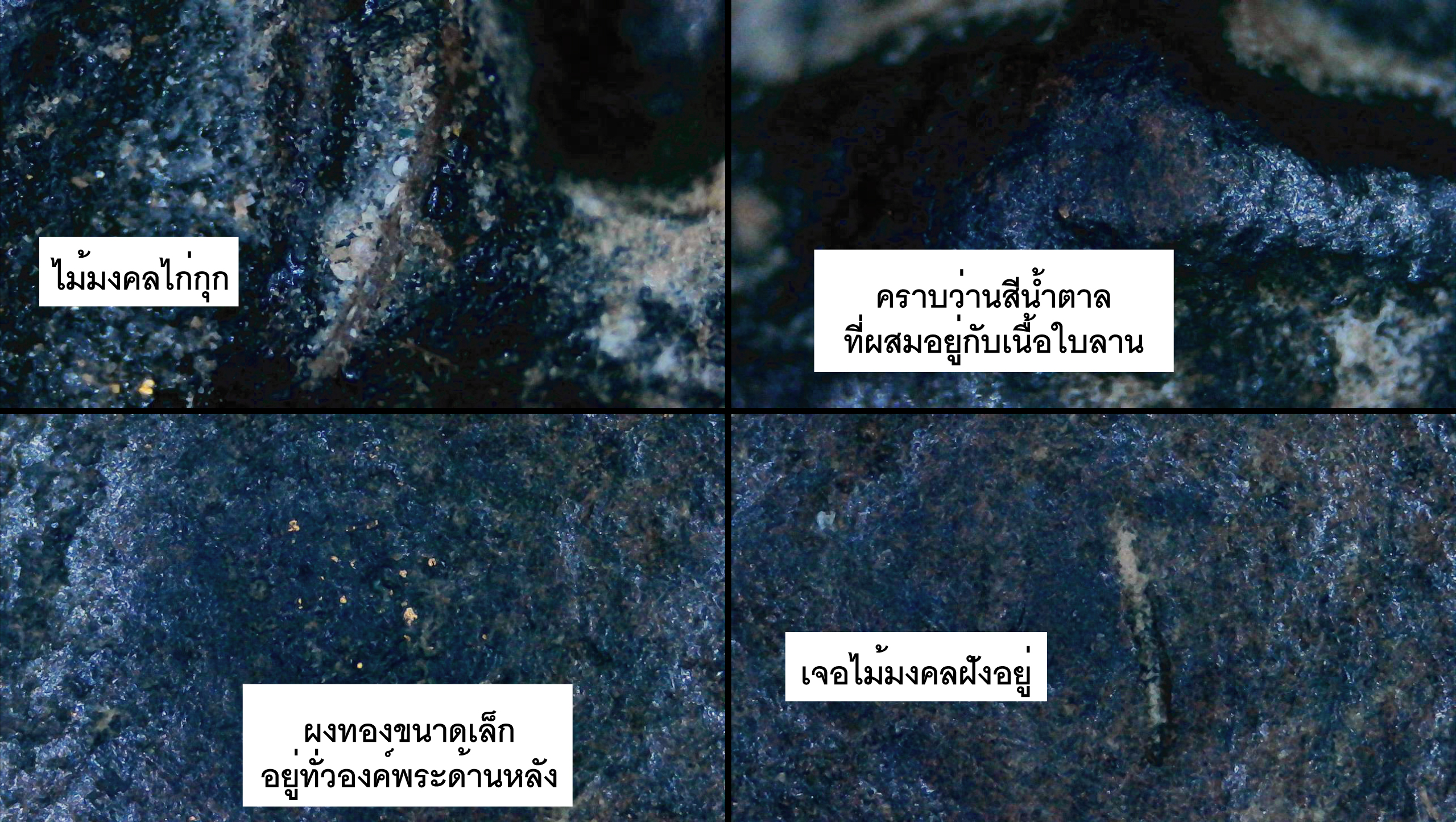 พระนางพญา หลวงพ่อทาบ วัดกระบกขึ้นผึ้ง ระยอง เนื้อผงใบลาน ปี 2505 หลวงปู่ทิมร่วมปลุกเสก