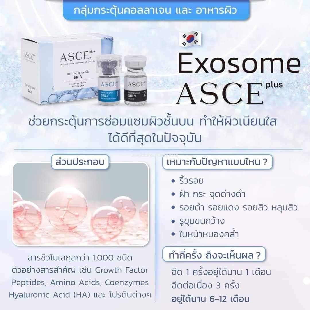 ASCE+ SRLV Exosome ฟื้นฟูผิว รูขุมขนกระชับ ใบหน้าอิ่มฟูชุ่มชื่น กระจ่างใส