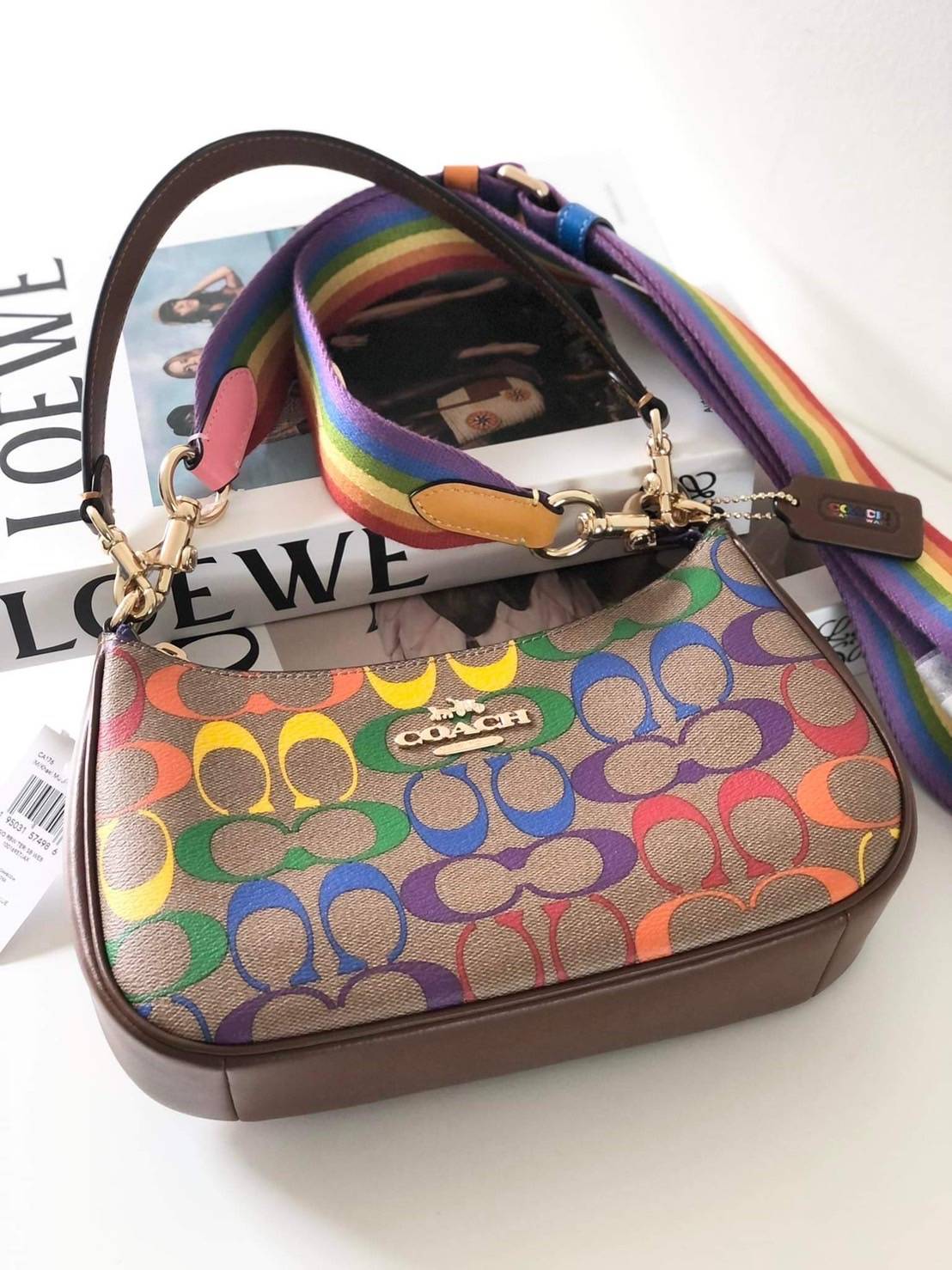 Coach Teri Shoulder Bag In Rainbow Signature Canvas