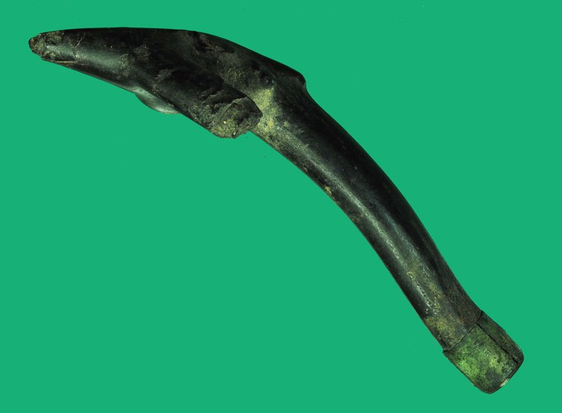 *40424 ตะกรุดกัลปังหา เลี่ยมจับขอบด้านหัวของตะกรุด เก่าอายุหลายสิบปี (ปลัดขลิก,ตะกรุด กัลปังหาของหลวงพ่ออี๋ มีจัดสร้าง) 12