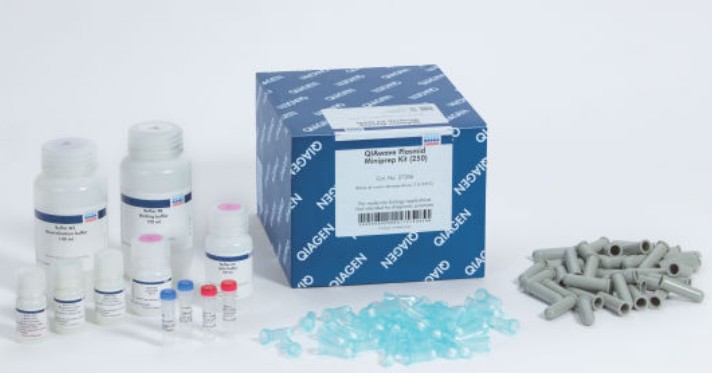 27204 QIAwave Plasmid Miniprep Kit (50)