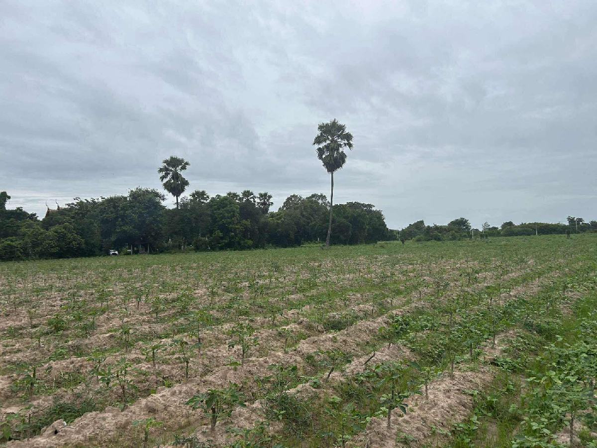 ขายที่ดิน 7 ไร่ พนมสารคาม ฉะเชิงเทรา | ใกล้วัดอ่าวสีเสียด | เจ้าของขายเอง