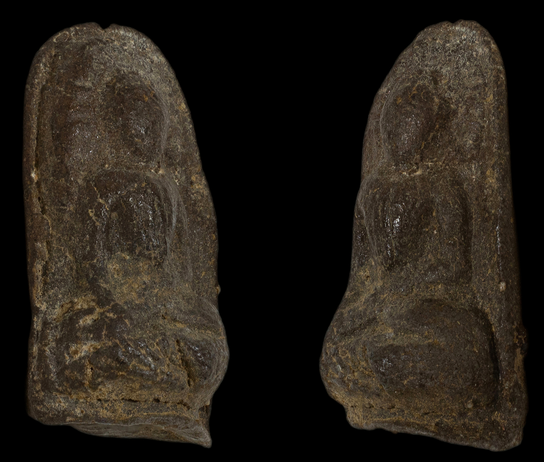 พระรอด พิมพ์เศียรโล้น กรุวัดหัวข่วง เนื้อดินผสมว่าน เชียงใหม่