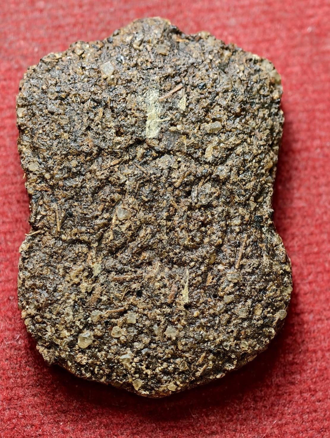 พระผงหลวงพ่อนก วัดเขาบังเหย จ.ชัยภมูิ (SKU-13444)