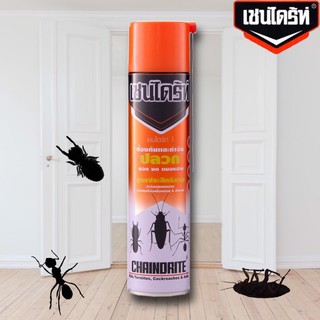 เชนไดร้ท์ สเปรย์ป้องกันและกำจัดปลวก แมลง (สีส้ม) (ราคารวมแวท) ขายส่งยกกล่อง สเปรย์ ฉีดกันปลวก กันแมลงสาบ