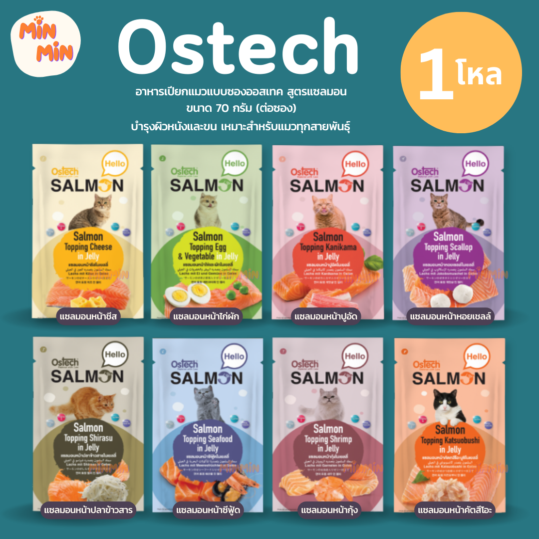 [ 1 โหล ] Ostech ออสเทค อาหารแมว Hello Salmon แซลมอนในเยลลี่ 70ก.