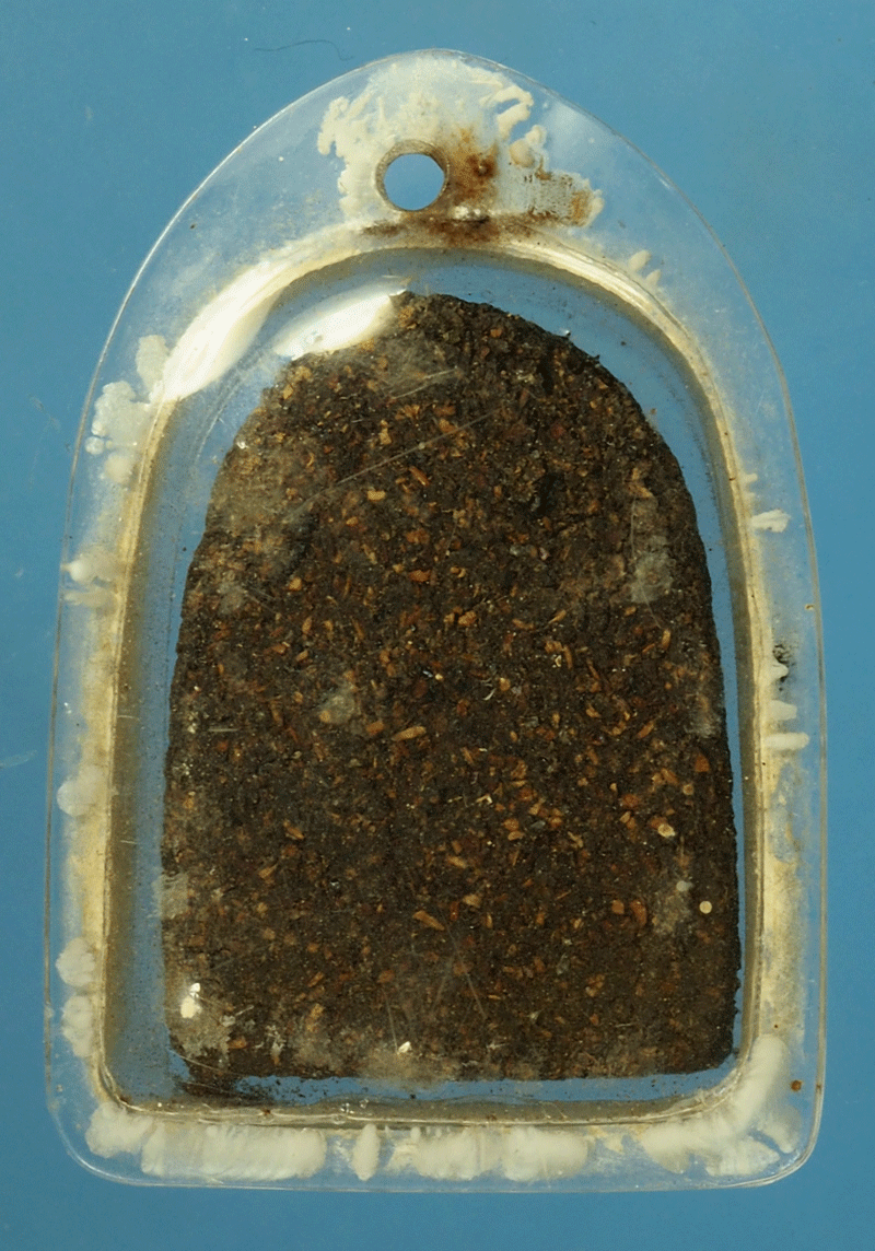 *27871พระรูปเหมือนชานหมาก เลี่ยมพลาสติกเก่า ไม่ทราบอาจารย์ 9