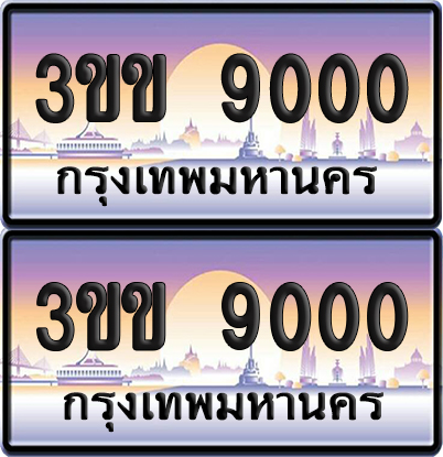 ทะเบียน PAITABIEN 9000 – เลขประมูล 3ขข 9000 (1)