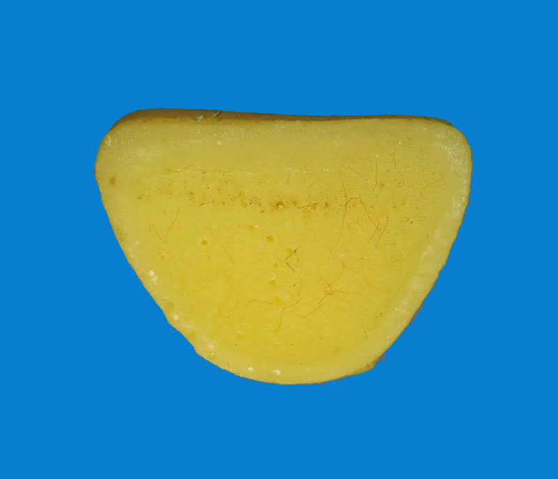 31894 รูปหล่อหลวงปุ่เขียว วัดคงคาวดี นครศรีธรรมราช กล่องเดิม 39