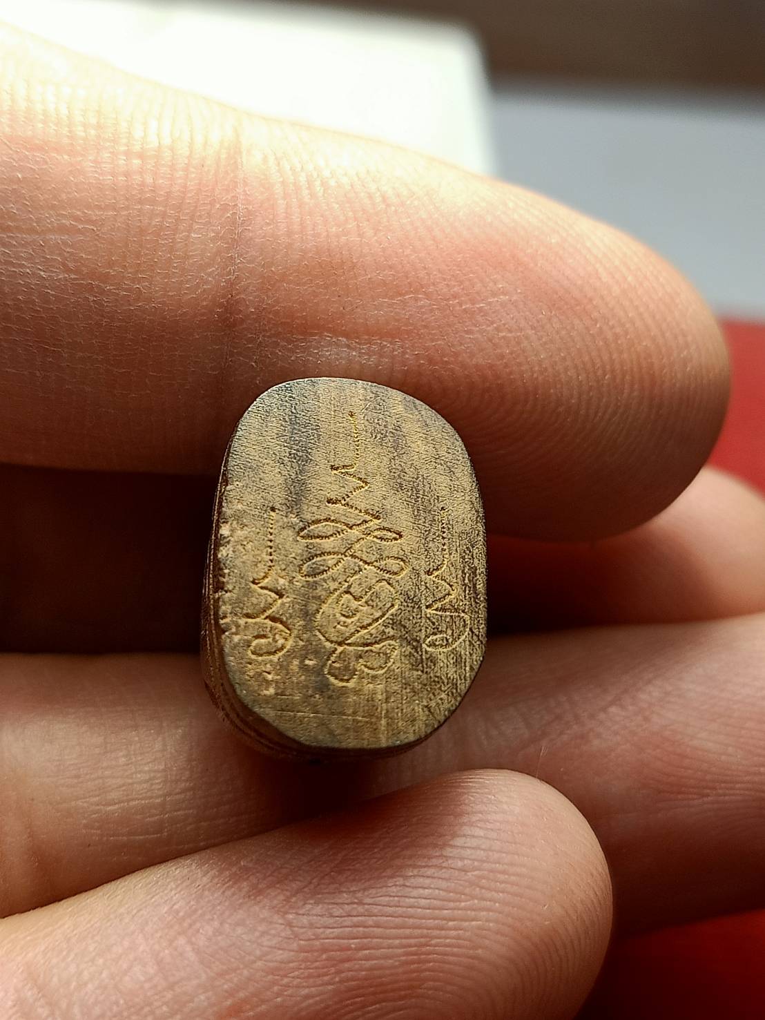 เสือไม้แกะ ไม่ทราบที่ (SKU-13241)