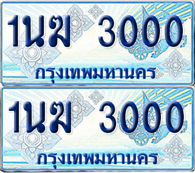 ทะเบียนรถตู้ 3000 1นฆ 3000 จากกรมขนส่ง (เลขมงคล)