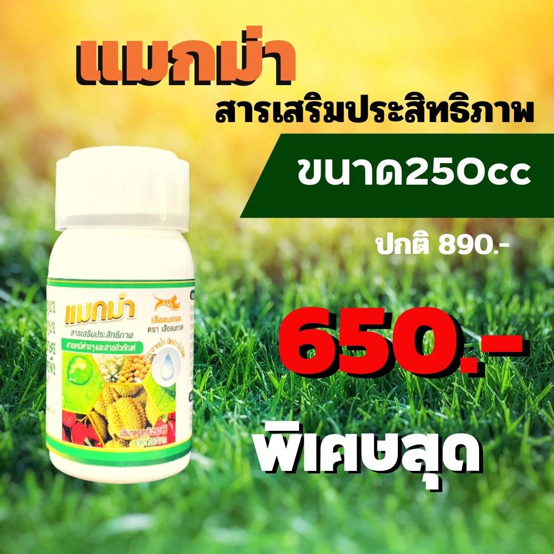 สารเพิ่มประสิทธิภาพแมกม่าขนาด250cc.