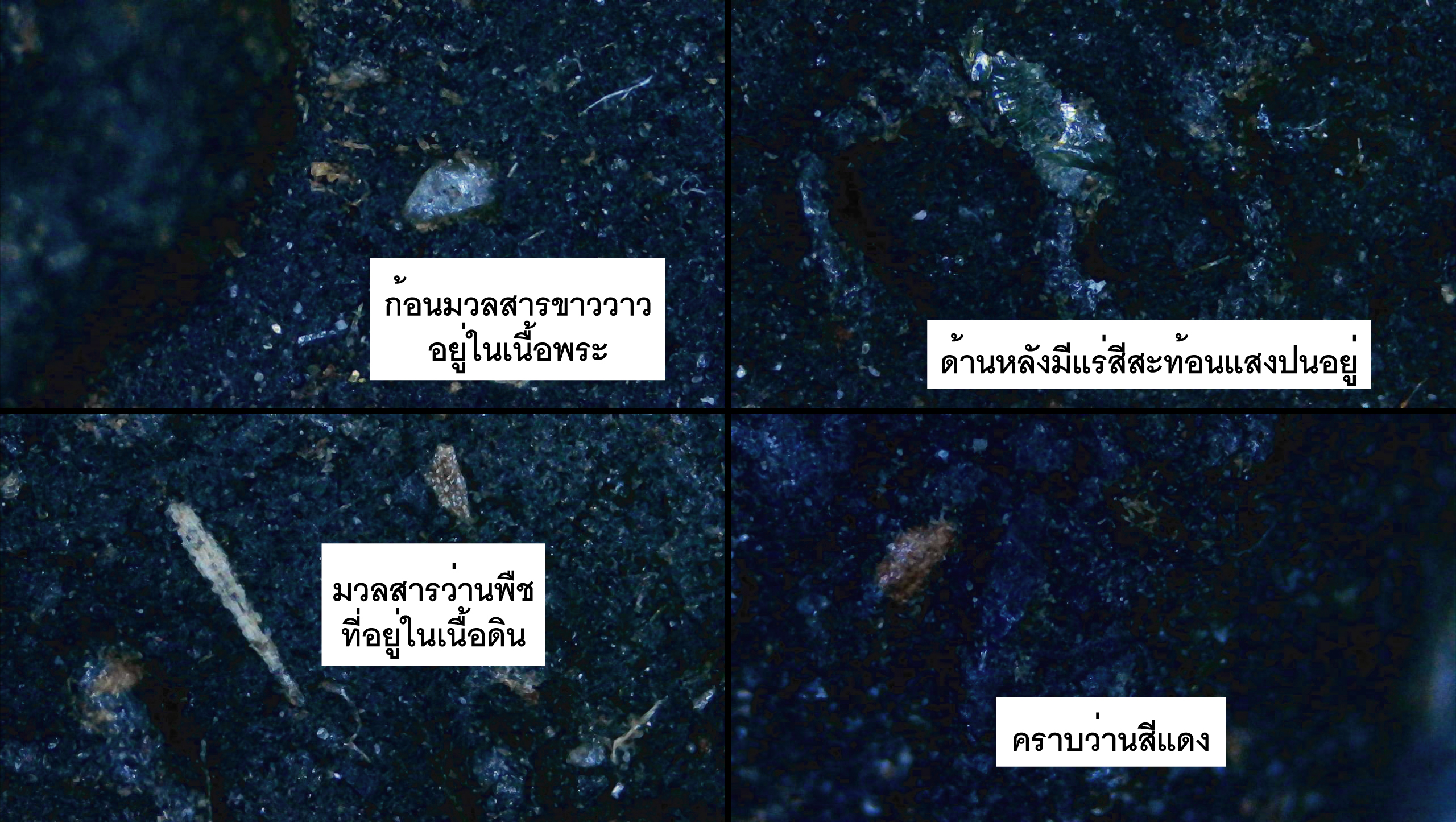 พระนางพญาเนื้อดินหลวงปู่มั่น ทัตโต วัดบ้านโนนเจริญ ผสมเกศาหลวงปู่ ปี 2521