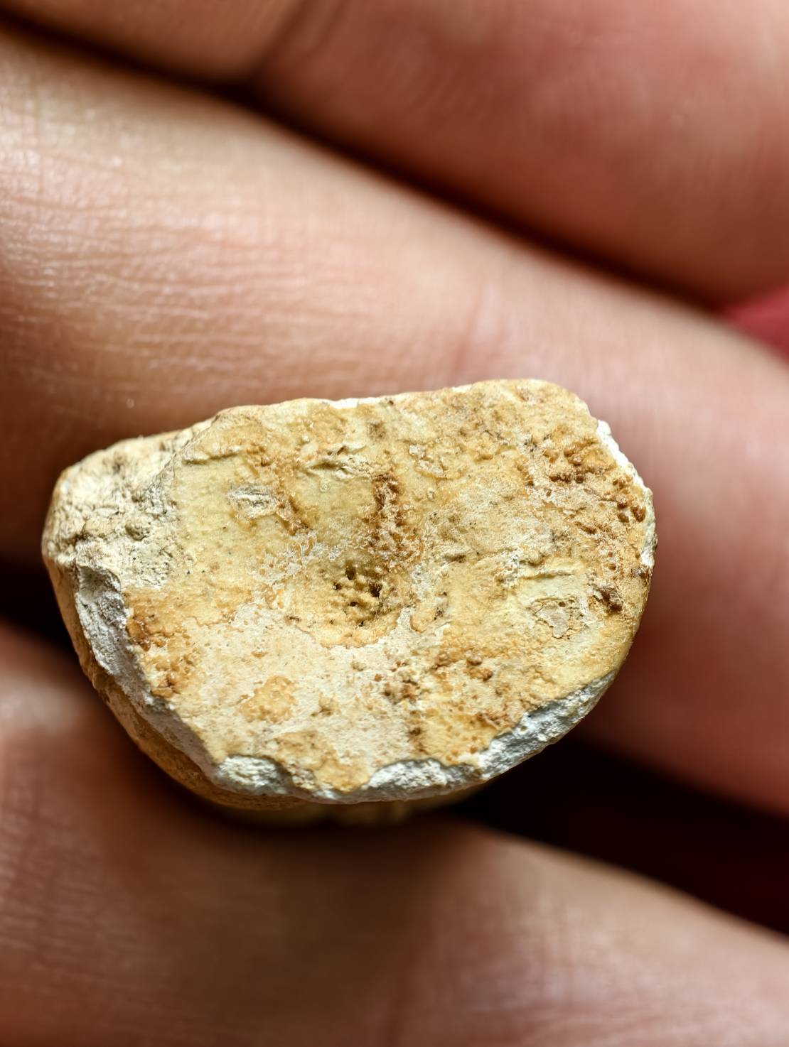 พระผงปิดตาลอยองค์วัดหัวกระบือ (บางขุนเทียน) ปี 2521 หลวงปู่โต๊ะปลุกเสก (SKU-13581)