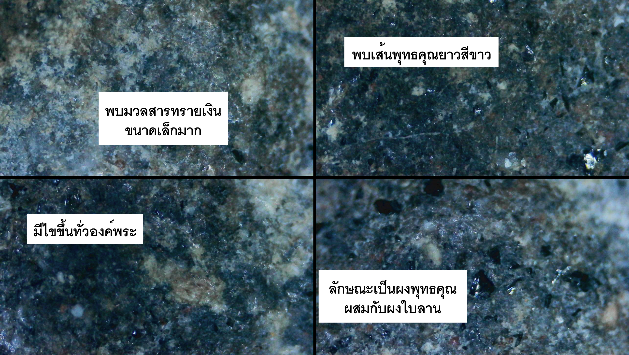 พระขุนแผนนั่งกุมารขาไขว้ สองหน้า หลวงพ่อกวย วัดโฆสิตาราม เนื้อผงใบลานผสมผงพุทธคุณ โรยแร่อุกกาบาต