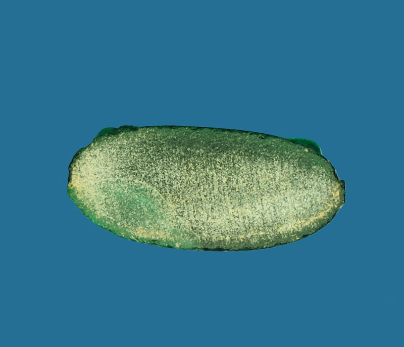 *30812 พระพุทธชินราช พรหมโยธี ปี 2493 พิษณุโลก เนื้อแก้วสีเขียว 54