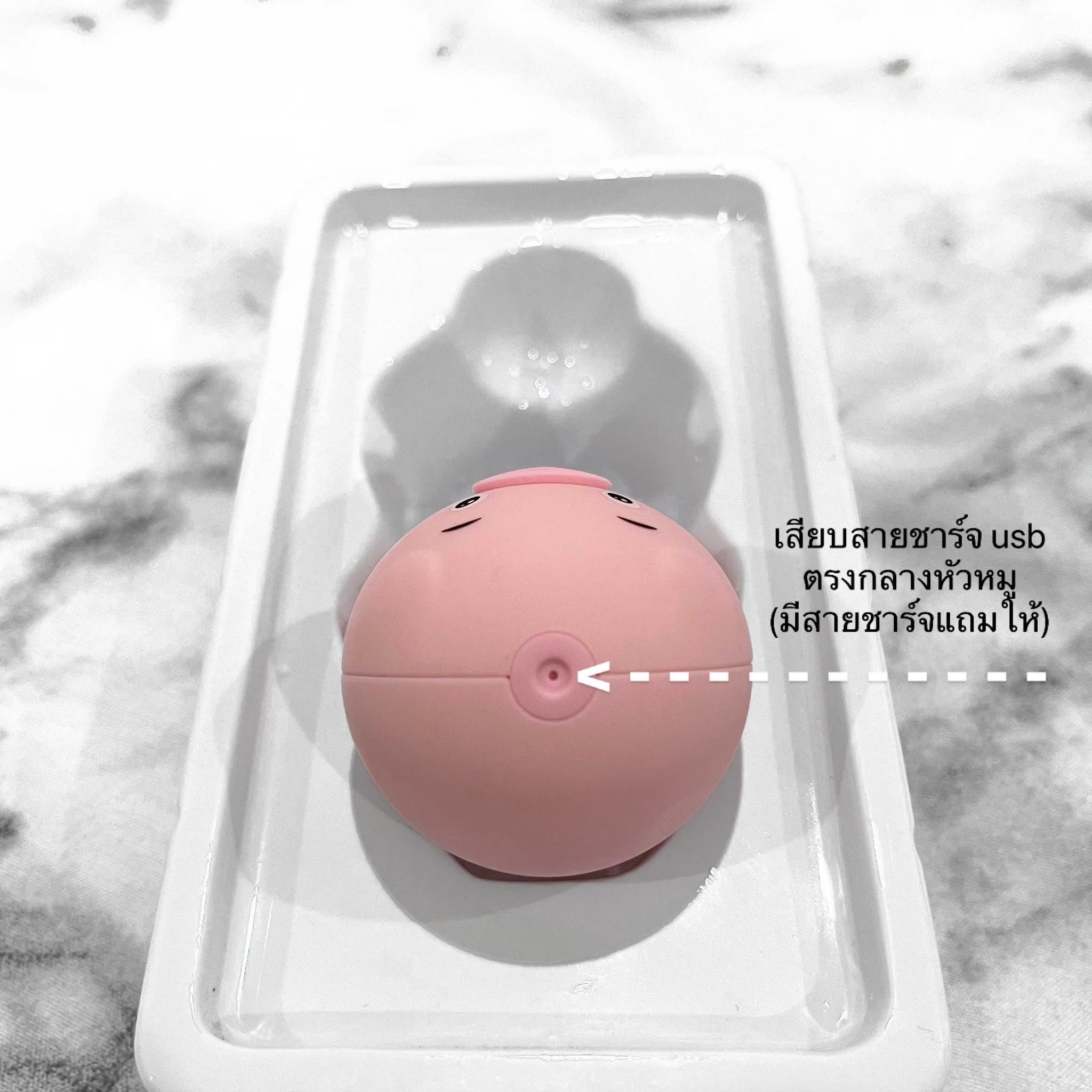 ลิ้นหมูน้อย 🐷